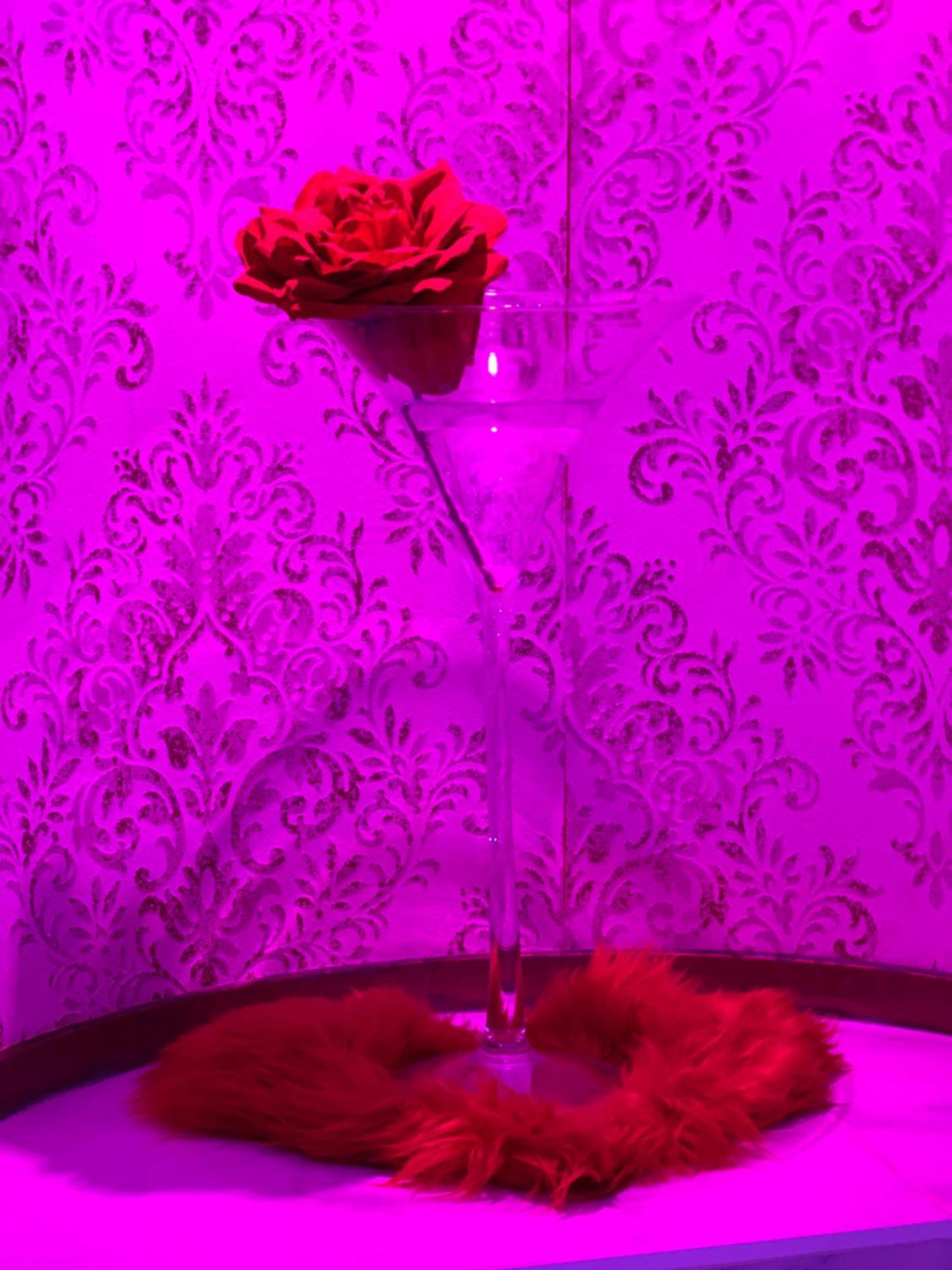 Apartment Romantique Avec Jaccuzy A La Gare De